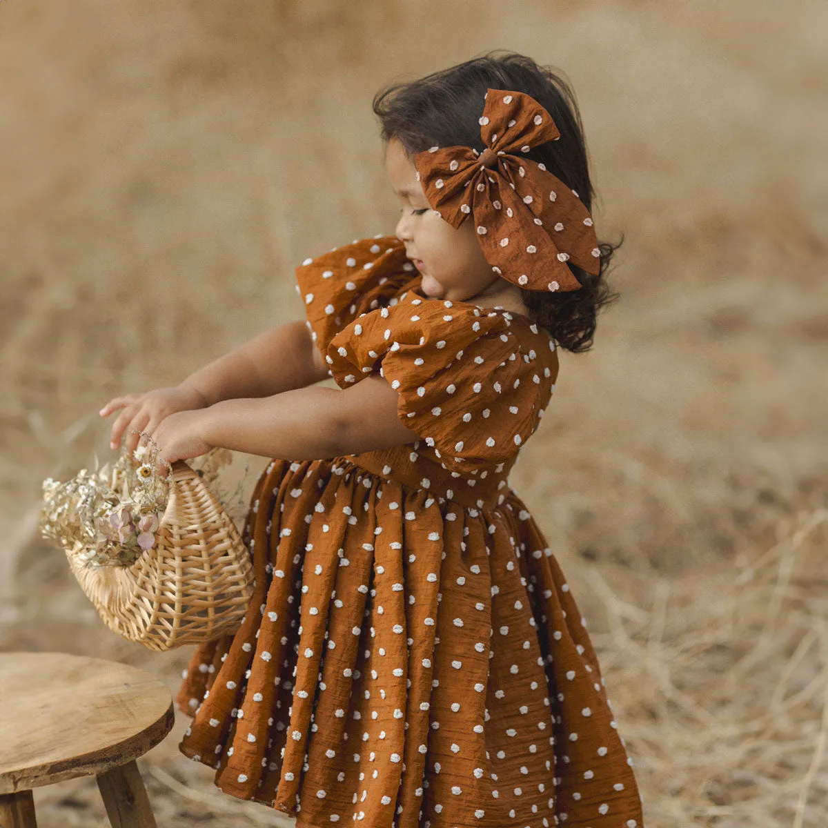 Sofia Dress - Copper - FINAL SALE